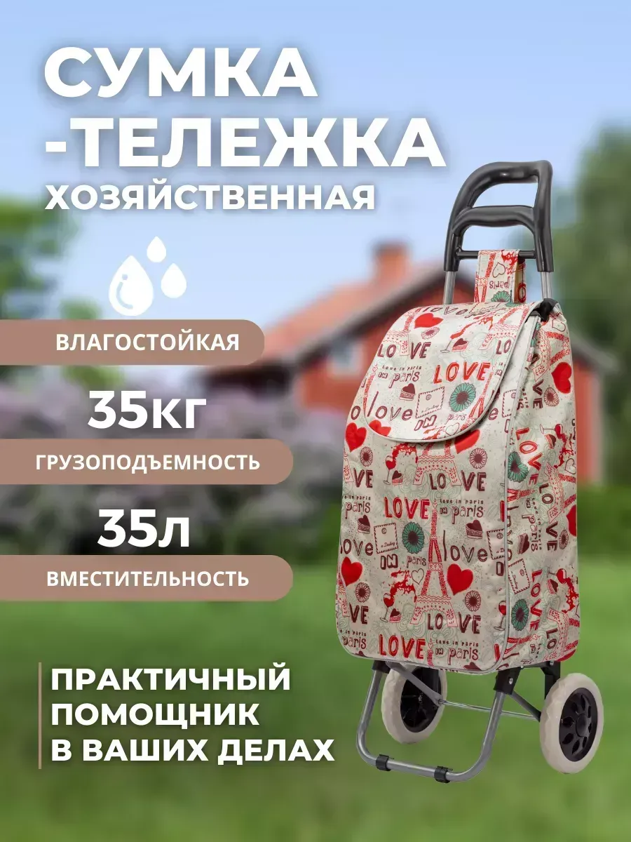 Сумка-тележка на колесах хозяйственная 35 литров (BC-473)