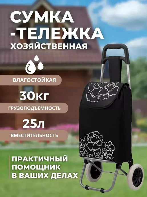 KOLESO Сумка-тележка на колесах хозяйственная 25 литров (BC-420), вариант