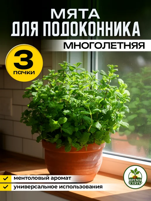 Агрофирма АЭЛИТА Семена мяты для подоконника, зеленый