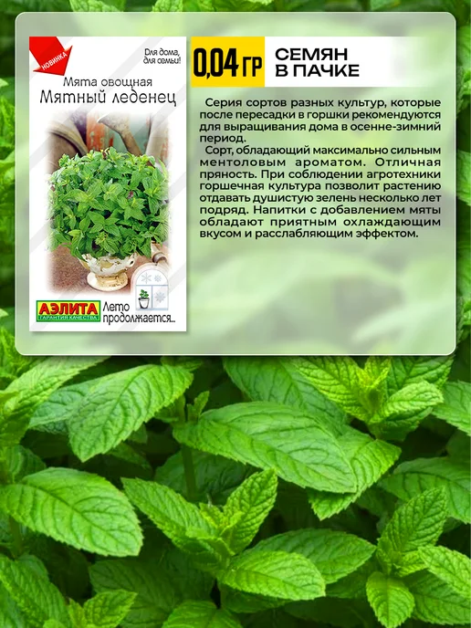 Агрофирма АЭЛИТА Семена мяты для подоконника, зеленый, фото 2