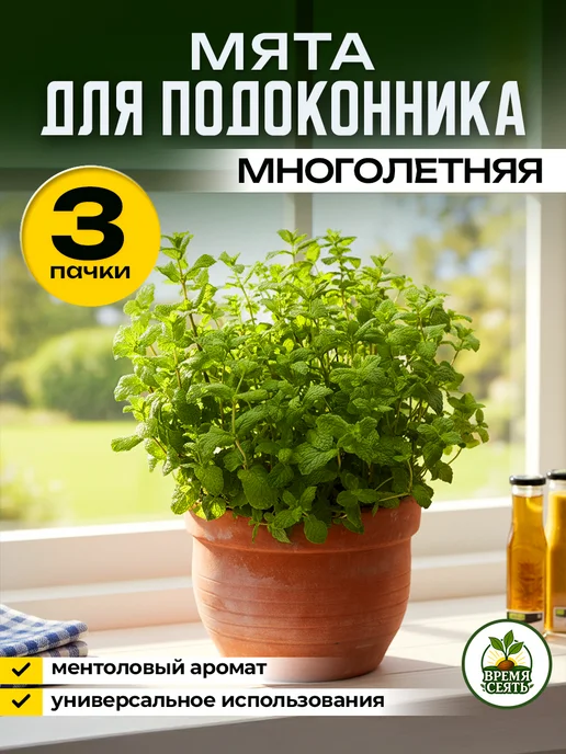 Агрофирма АЭЛИТА Семена мяты для подоконника, зеленый, фото 3