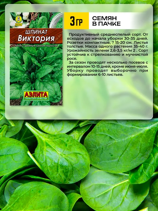 Агрофирма АЭЛИТА Семена шпината для подоконника, зеленый, фото 2