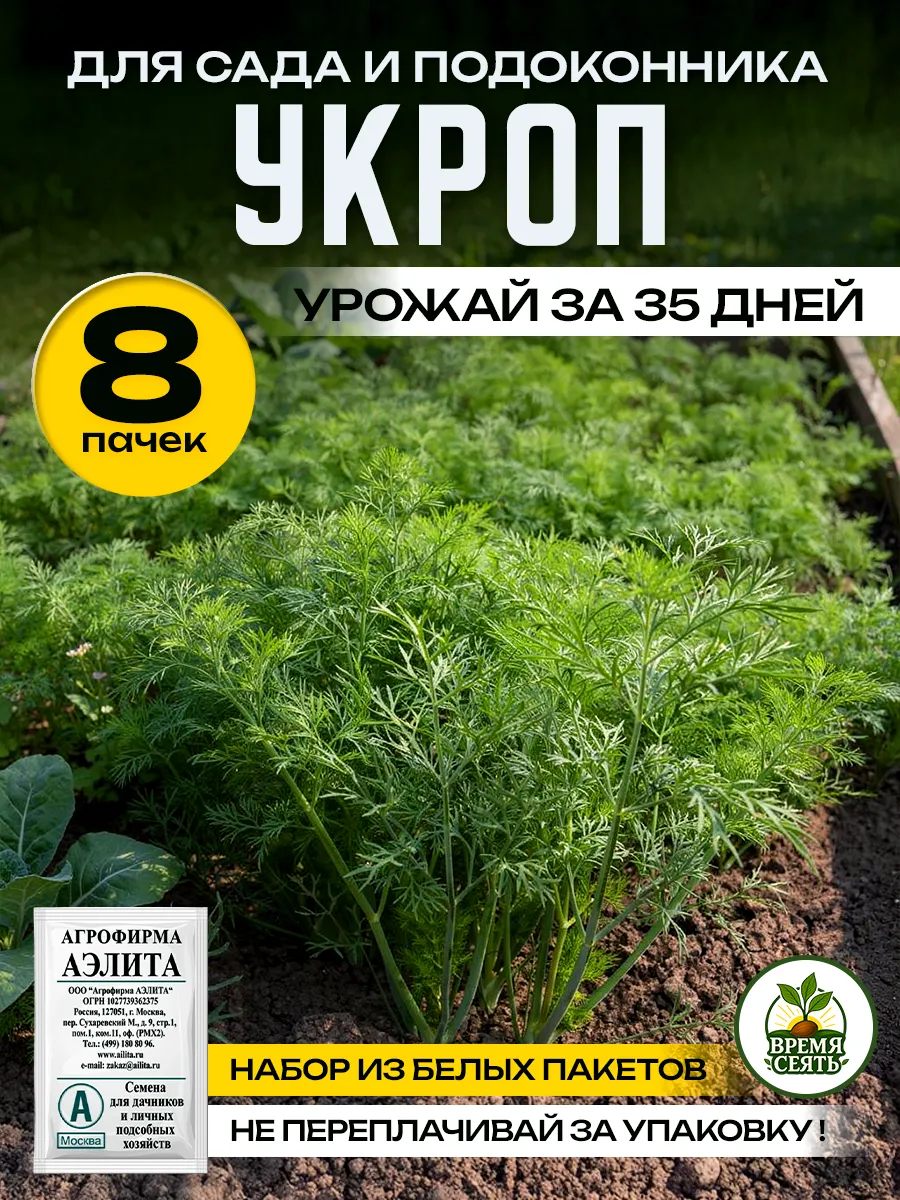 Семена укропа на зелень