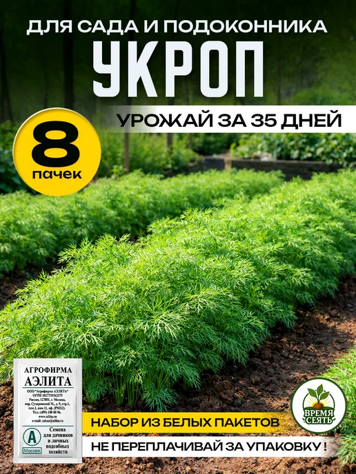 Агрофирма АЭЛИТА Семена укропа на зелень, зеленый, фото 2
