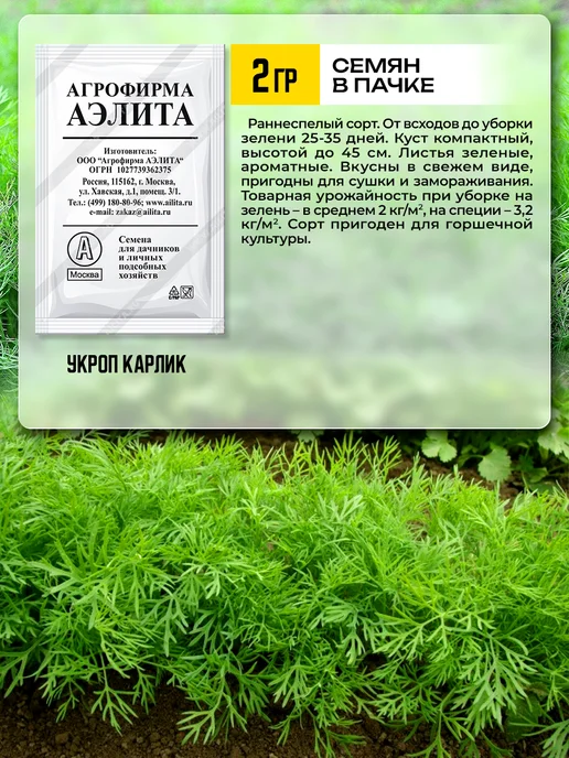 Агрофирма АЭЛИТА Семена укропа на зелень, зеленый, фото 4
