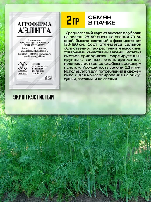 Агрофирма АЭЛИТА Семена укропа на зелень, зеленый, фото 5