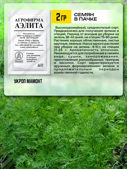 Агрофирма АЭЛИТА Семена укропа на зелень, зеленый, фото 6