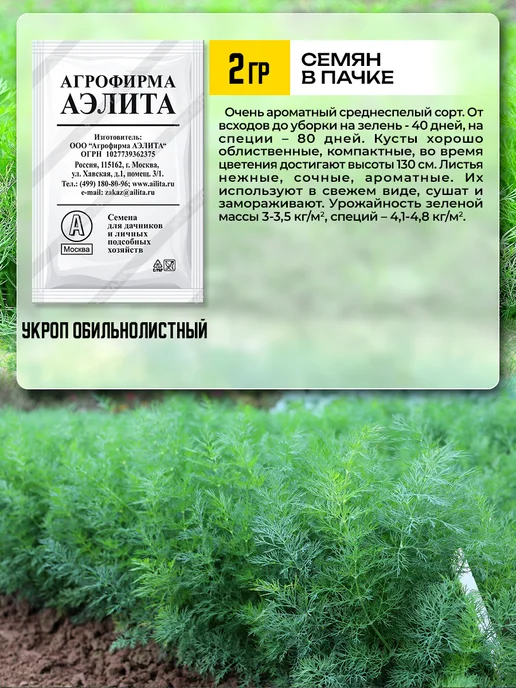 Агрофирма АЭЛИТА Семена укропа на зелень, зеленый, фото 7