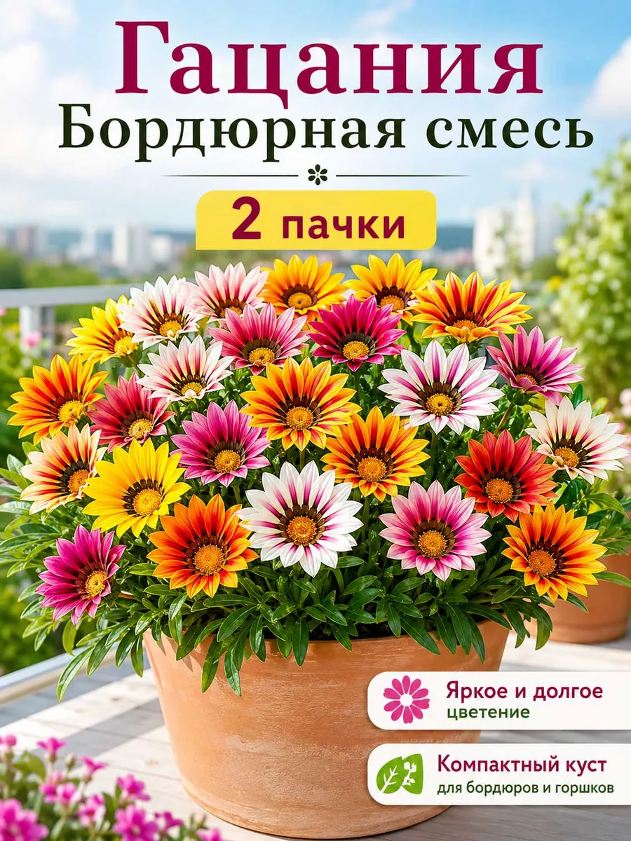 Семена цветов Гацания Бордюрная смесь 2 пакета