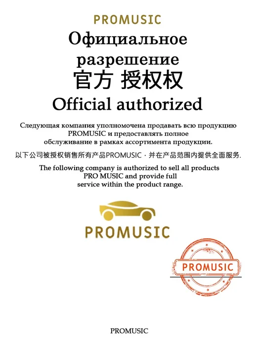 ProMusic Магнитола P27Pro Универсальный монитор 4+64, вариант, фото 3