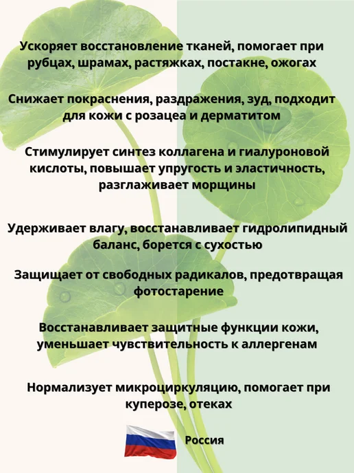 Мануфактура красоты СО2 экстракт центеллы азиатской водорастворимый 20 гр, 20 г, фото 2