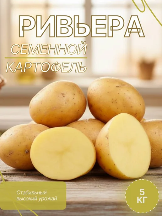 Семенной картофель на посадку Фламинго 5 кг, 5 кг, ривьера