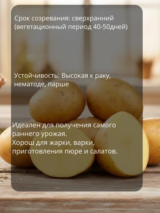 Семенной картофель на посадку Фламинго 5 кг, 5 кг, ривьера, фото 2
