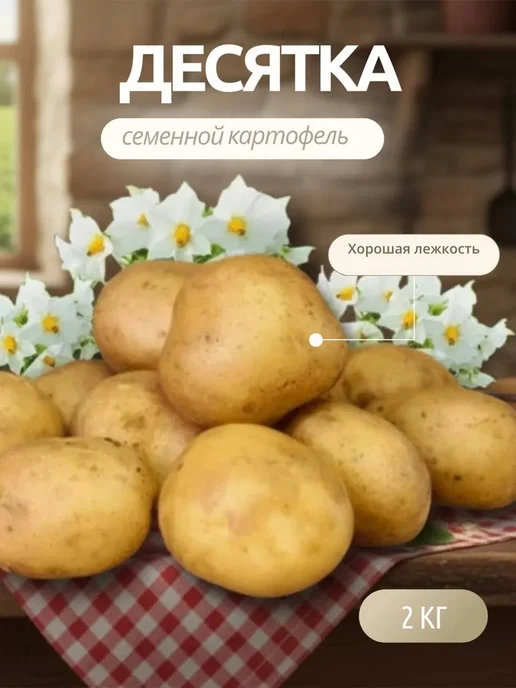 Семенной картофель на посадку Фламинго 5 кг, 2 кг, десятка, фото 2