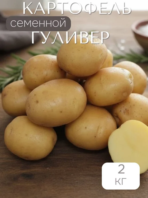 Семенной картофель на посадку Гуливер 2 кг, 2 кг