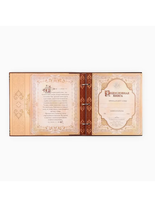 Сималенд Родословная книга Семейная 21,5×23,7 см, 21.5x23.7 см, фото 6
