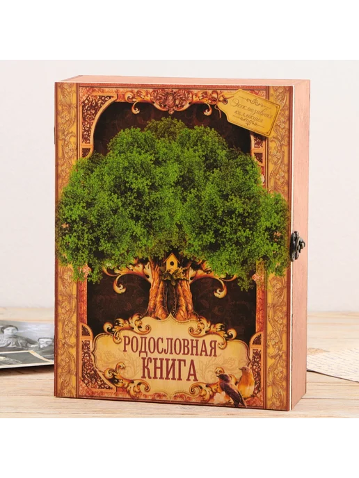 Сималенд Родословная книга в шкатулке 56 листов 20×26 см, 20x26 см, фото 3