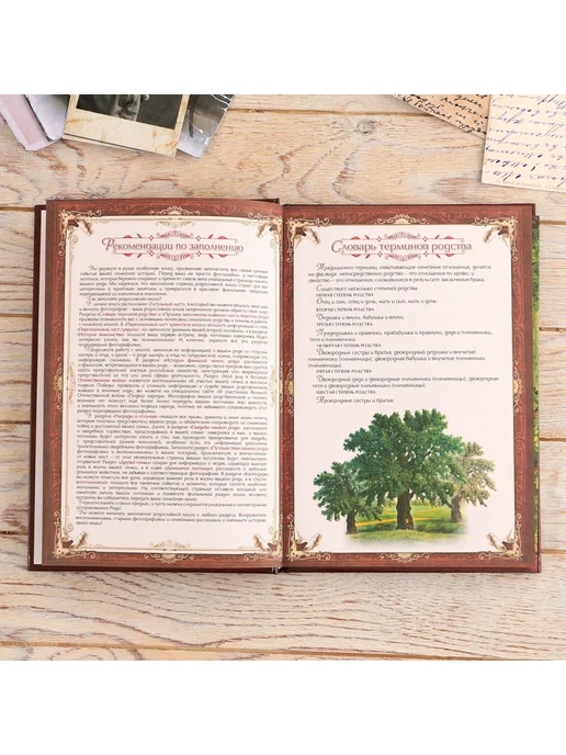 Сималенд Родословная книга в шкатулке 56 листов 20×26 см, 20x26 см, фото 7