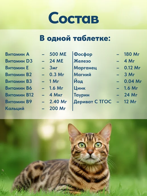 polidex Кальций для кошек Витамины Полидэкс Плюс 80, кошек Плюс 80, фото 2