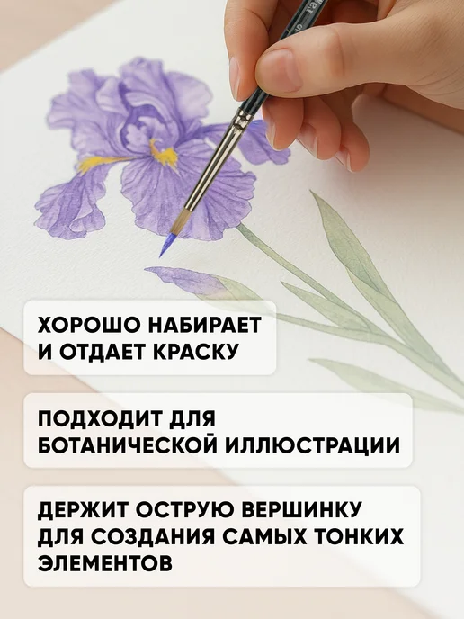 Гамма Художественная кисть для рисования, круглая №5, вариант, фото 3