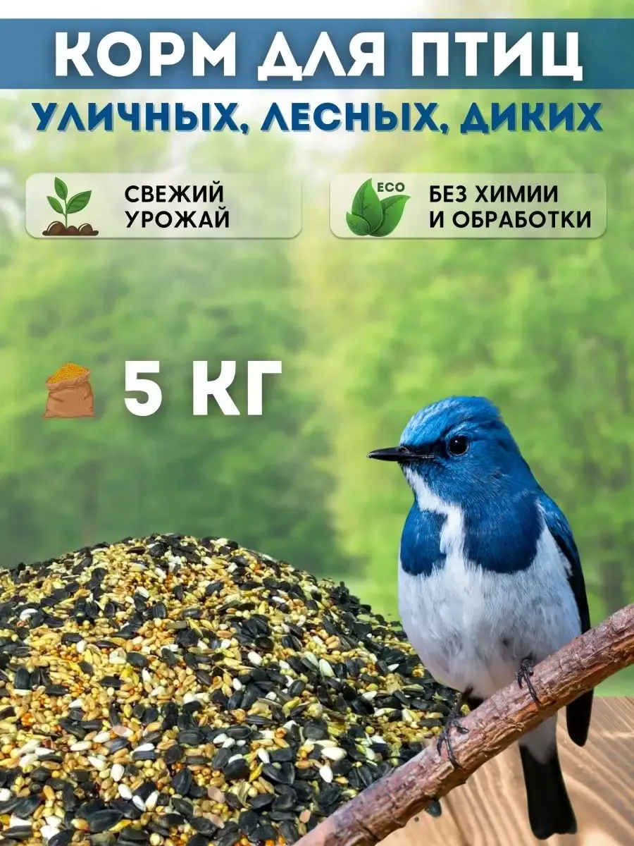Сухой корм для птиц уличных парковых в кормушку на окно 5кг