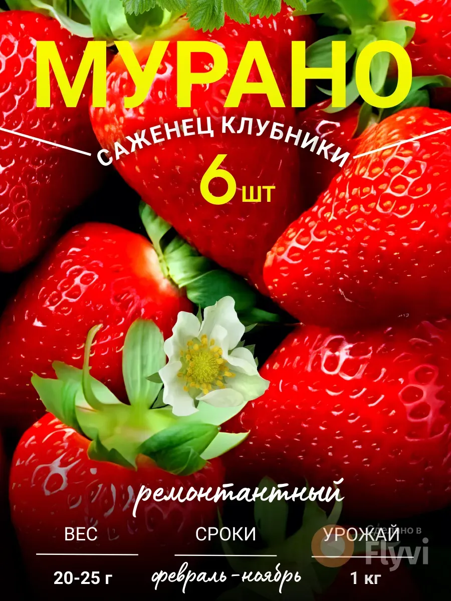 Саженцы клубники Мурано