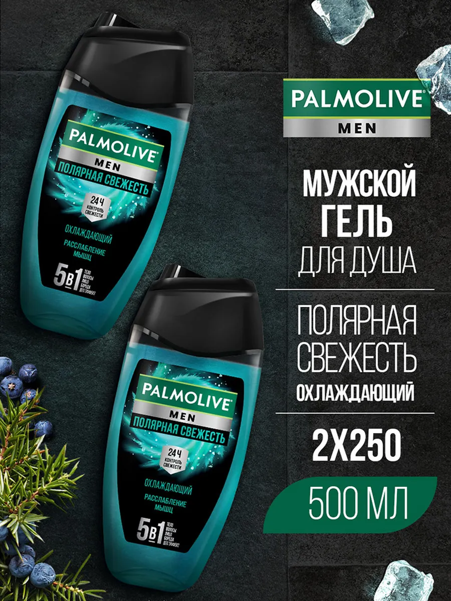 Гель для душа мужской Полярная свежесть 2шт 250мл