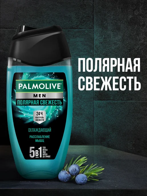 PALMOLIVE Гель для душа мужской Полярная свежесть 2шт 250мл, 2 шт, 250 мл, фото 2