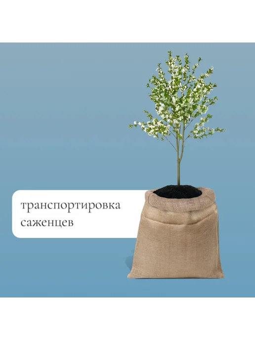 <> Джутовый мешок 45х60 см для сада с завязками, 45x60 см, фото 3