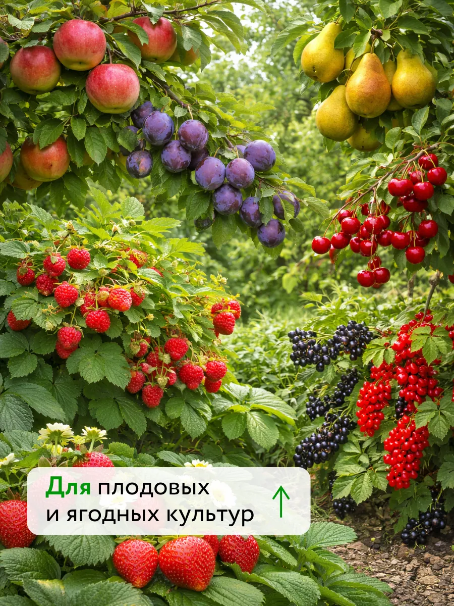 Удобрения для растений огорода и сада Текнокель Амино Fe — фото 10