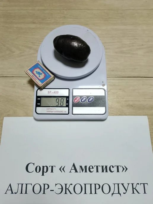 АЛГОР-ЭКОПРОДУКТ Картофель Аметист - 10 шт, 10 шт, фото 2