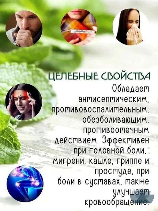 Бальзам - масло Thien Thao (жидкая звездочка) Вьетнам 12 м, 12 м, фото 2
