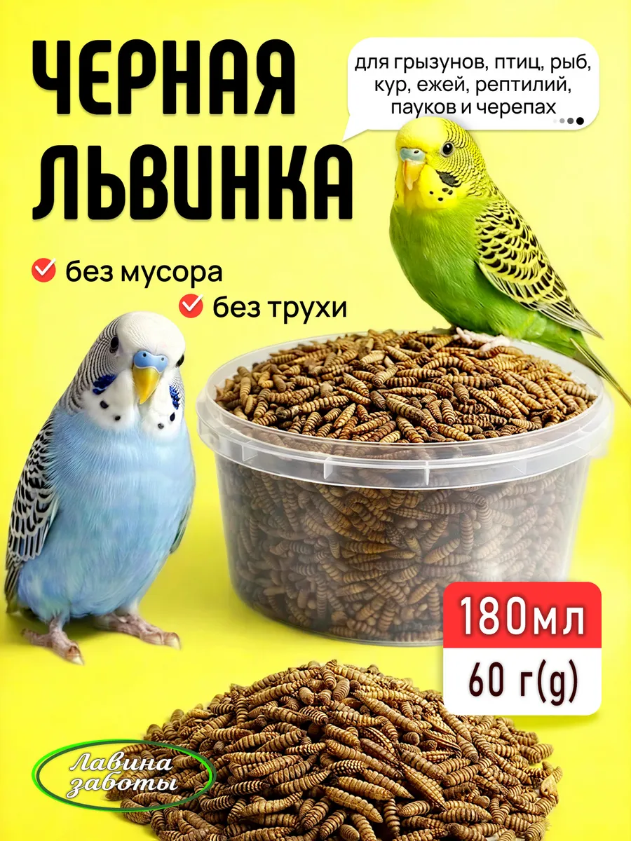 Черная львинка, лакомство для грызунов, рыб, 60грамм