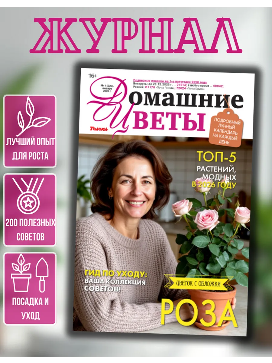 Домашние цветы№1/26. Роза