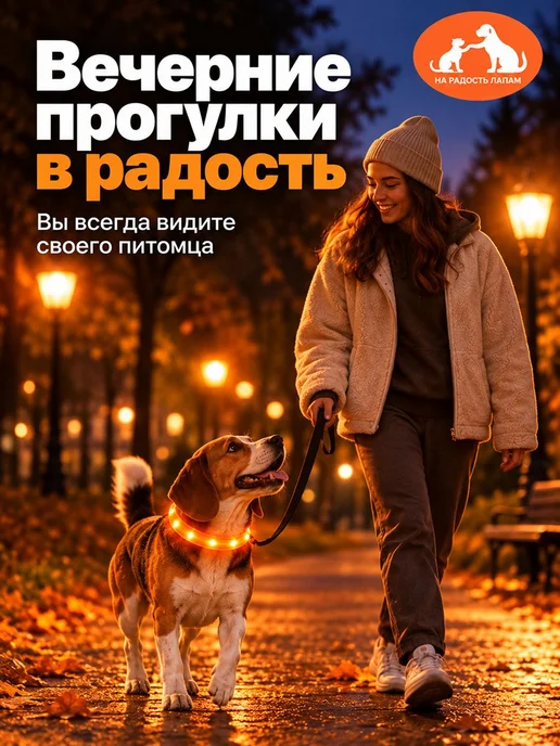 dogdogs Светящийся ошейник для собак, оранжевый, фото 2