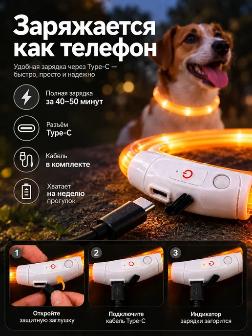 dogdogs Светящийся ошейник для собак, оранжевый, фото 3