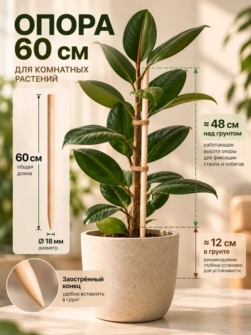 TimberTrend Опоры для растений 60 см 2 шт береза d 18 мм, 2 шт, фото 4