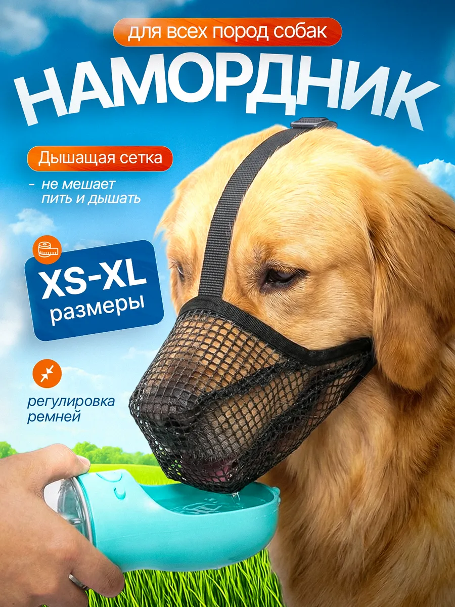 Намордник