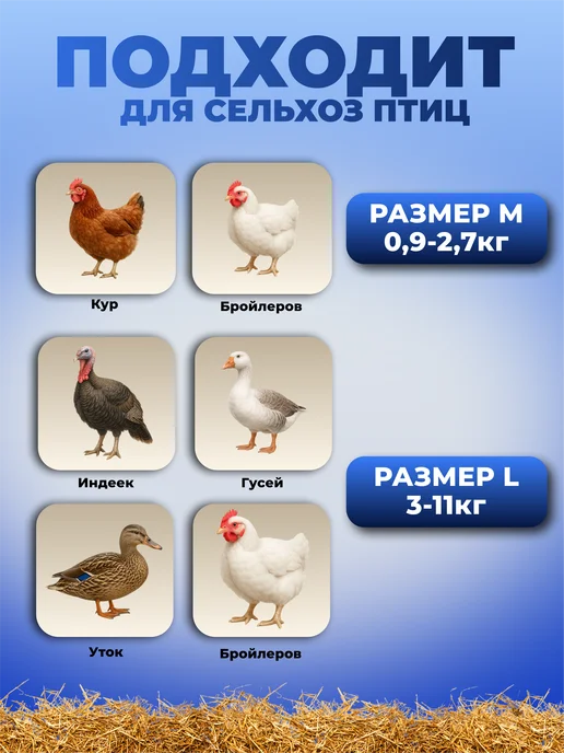 Конус L для забоя домашней птицы, серый, фото 6