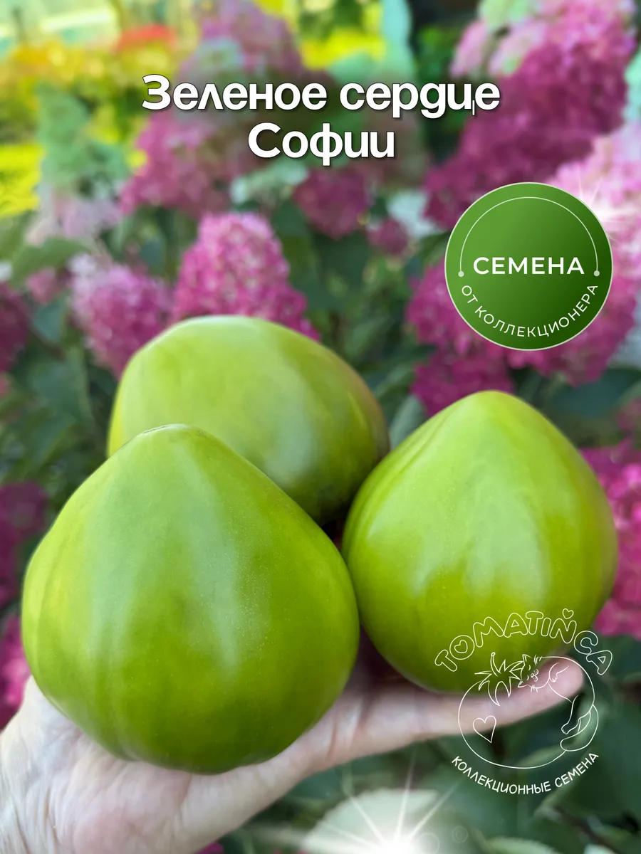 Коллекционные семена томатов Зеленое сердце Софии